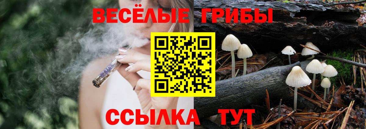 закладка  Псилоцибиновые грибы мухоморы  Вход с VPN  Омск 